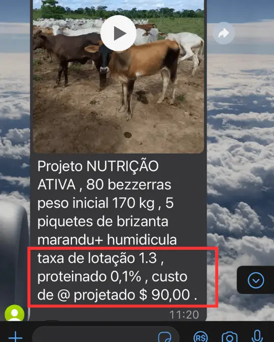Mensagem de aluno